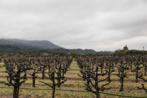 Serres Ranch Vineyards