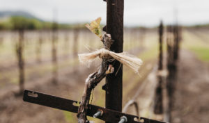 Hardware around the vineyard