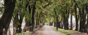 Serres Ranch Land