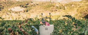 Serres Ranch